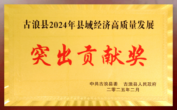 突出贡献奖.png