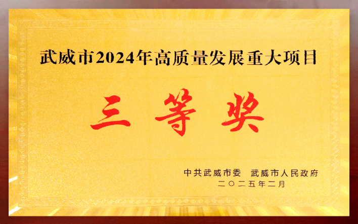 高质量发展重大项目三等奖.png