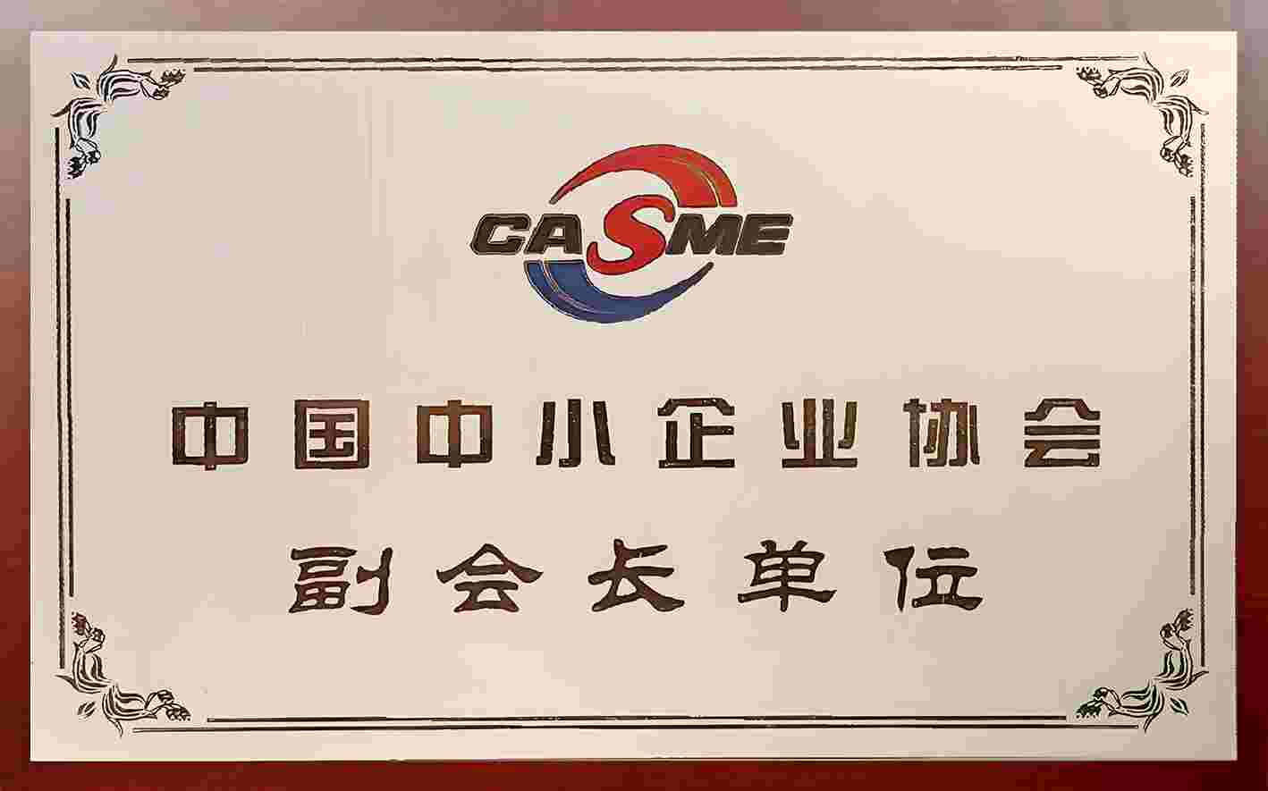 中国中小企业协会副会长单位.jpg